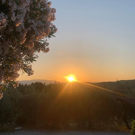 La Casina Del Poggio Lägenhet Ponticino Exteriör bild